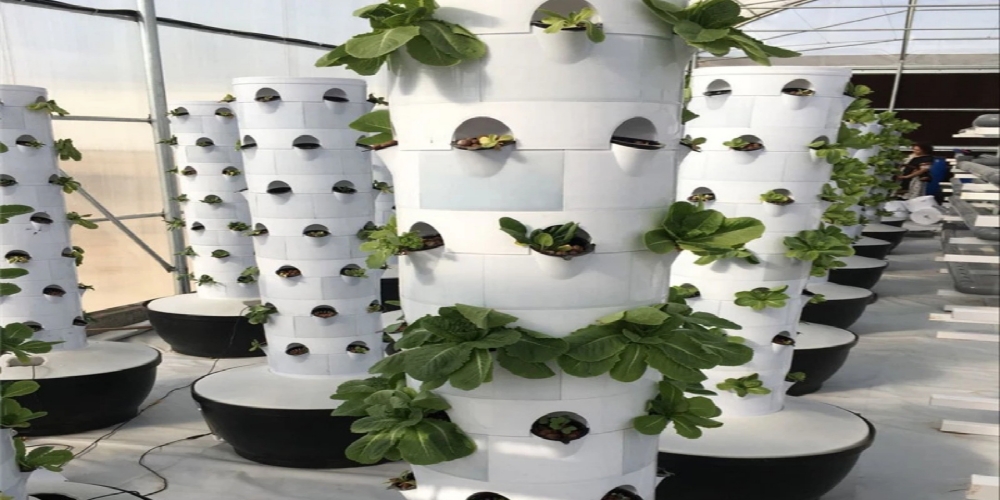 Aeroponic Tower Garden: Benefits of Aeroponic Tower Gardens