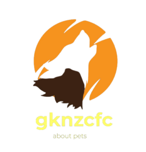 Gknzcfc